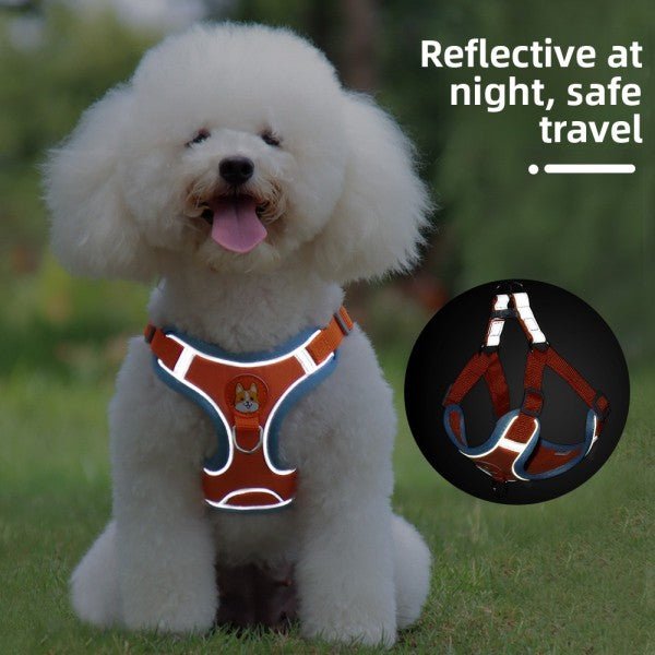 Dog Harness and Leash - Chiens Royaux