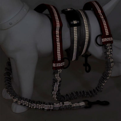 Canicross leash - Chiens Royaux