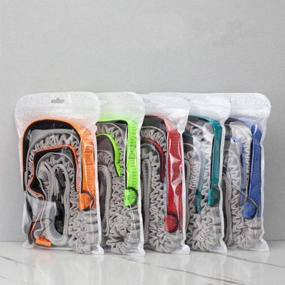 Canicross leash - Chiens Royaux