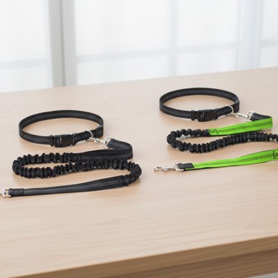 Canicross leash | Shock - Absorbing Premium - Chiens Royaux