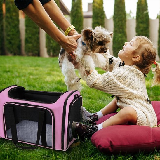 carrying bag | Premium Durable - Chiens Royaux