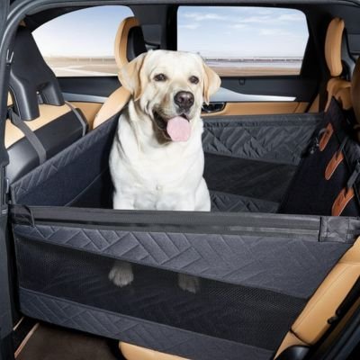 Dog car seat | SafeTravel - Chiens Royaux