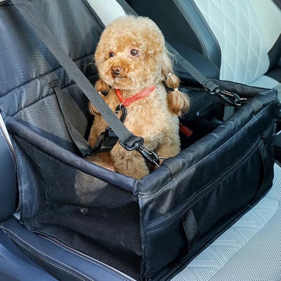 Dog car seat | SafeTravel - Chiens Royaux