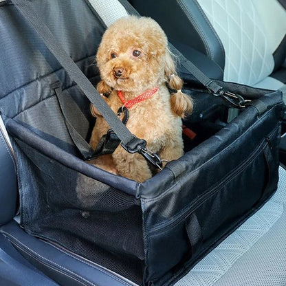Dog car seat | SafeTravel - Chiens Royaux