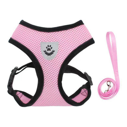 Dog Chest Harness and Leash - Chiens Royaux