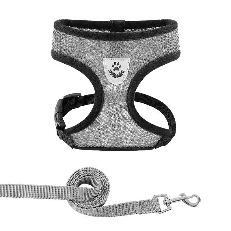 Dog Chest Harness and Leash - Chiens Royaux