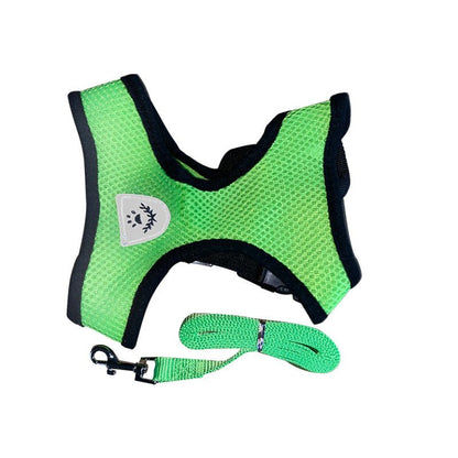 Dog Chest Harness and Leash - Chiens Royaux