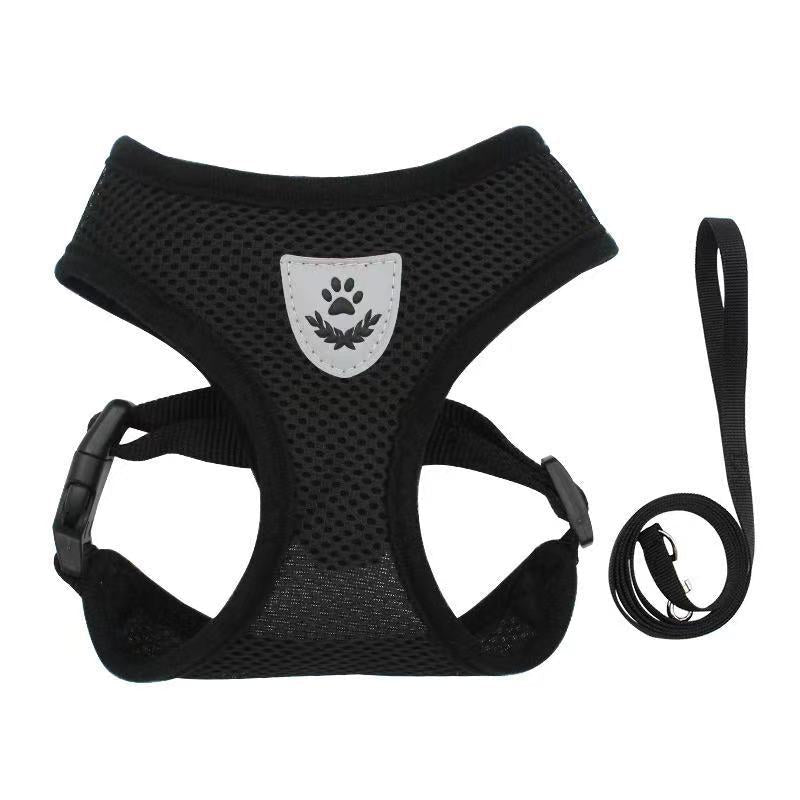 Dog Chest Harness and Leash - Chiens Royaux