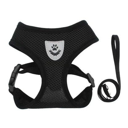 Dog Chest Harness and Leash - Chiens Royaux
