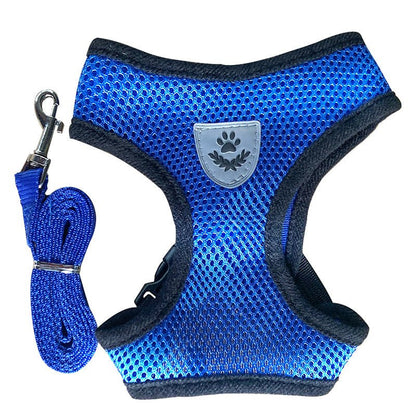 Dog Chest Harness and Leash - Chiens Royaux