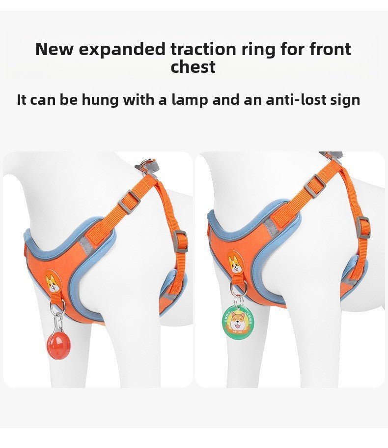 Dog Harness and Leash - Chiens Royaux