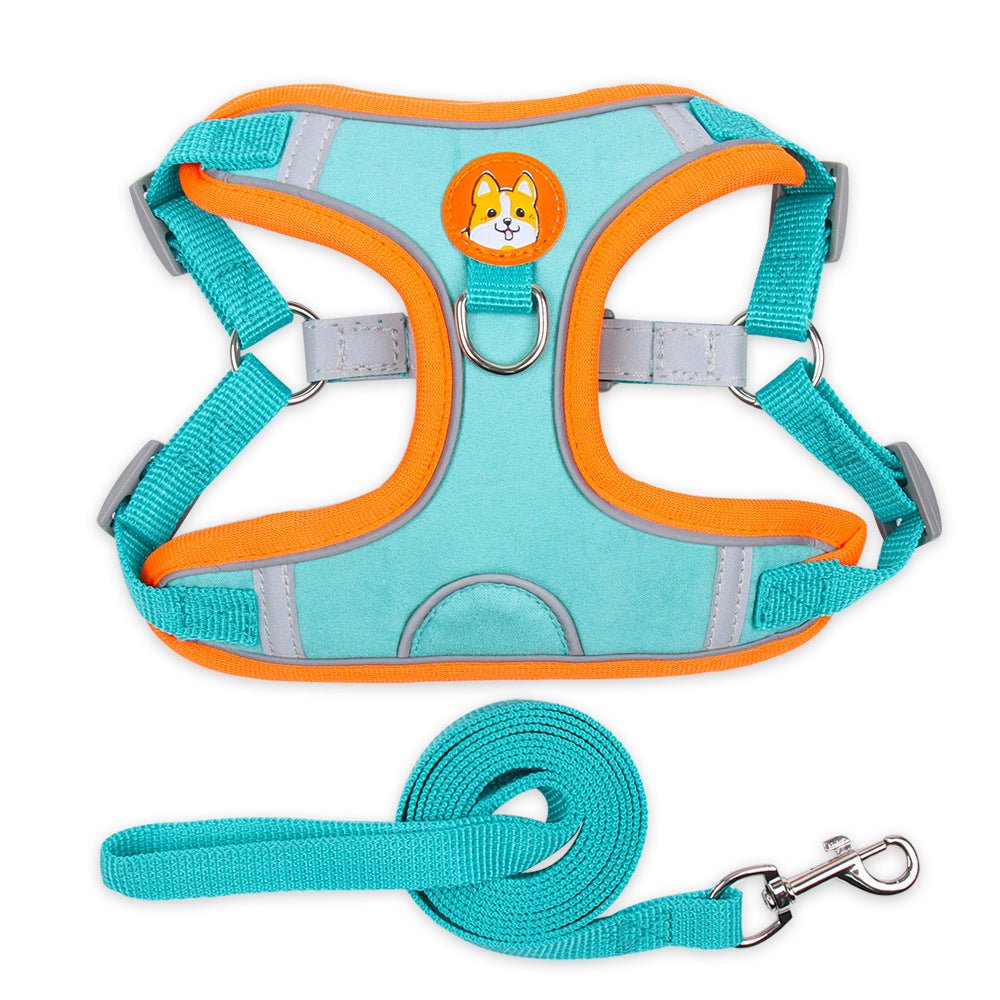 Dog Harness and Leash - Chiens Royaux