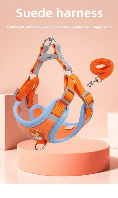 Dog Harness and Leash - Chiens Royaux