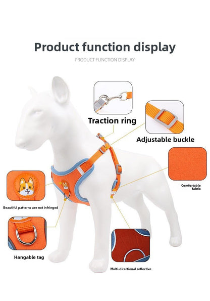 Dog Harness and Leash - Chiens Royaux