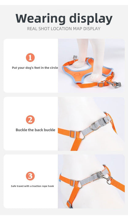 Dog Harness and Leash - Chiens Royaux