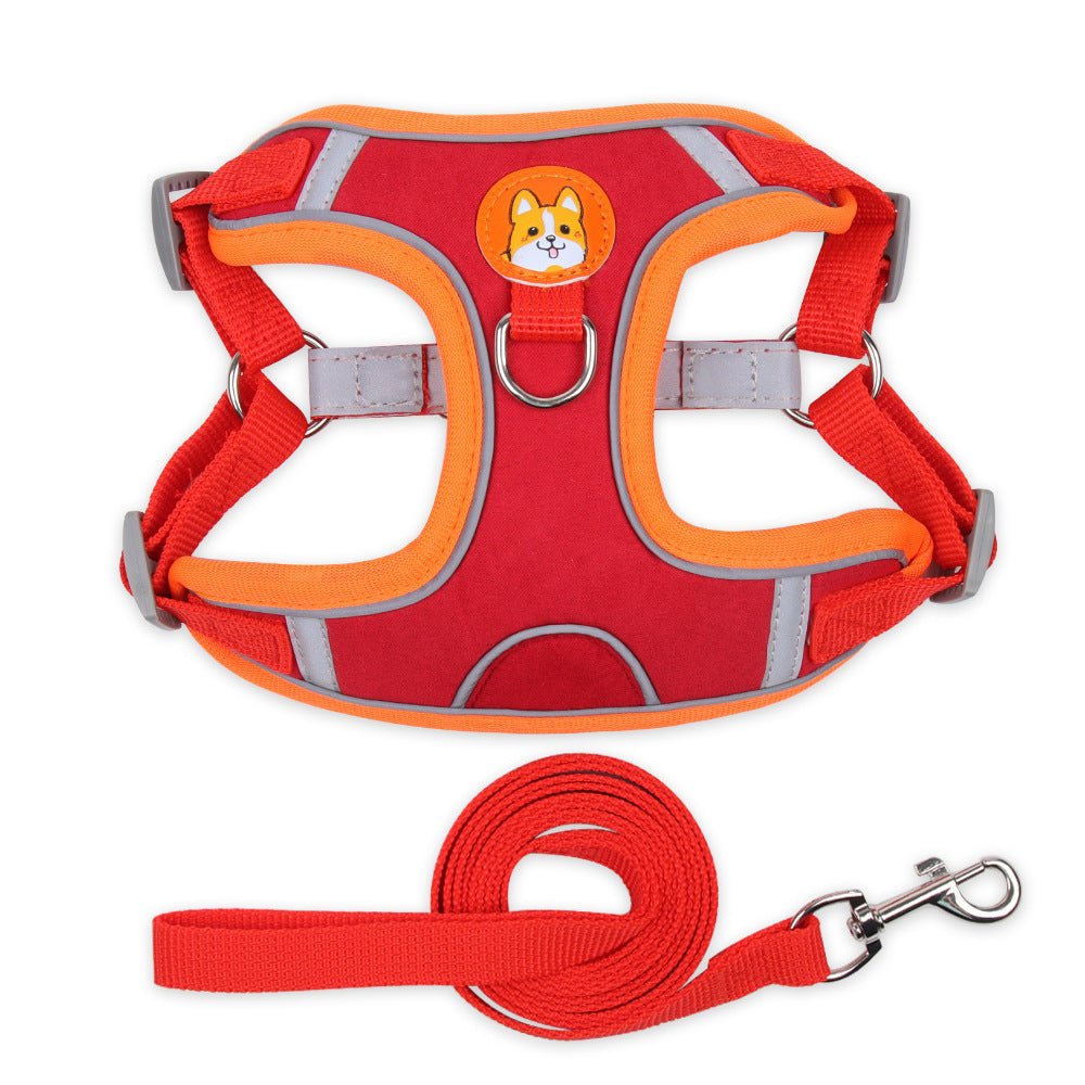 Dog Harness and Leash - Chiens Royaux