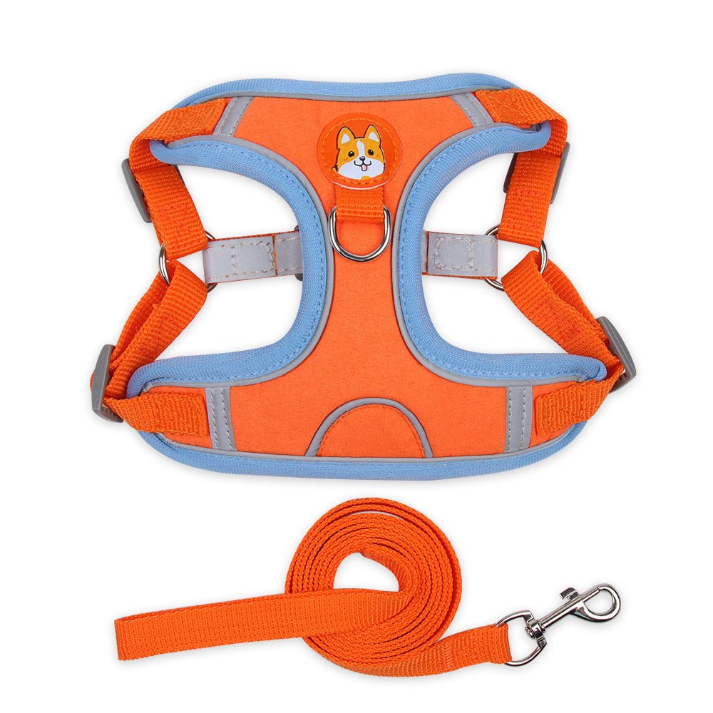 Dog Harness and Leash - Chiens Royaux