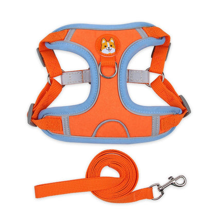 Dog Harness and Leash - Chiens Royaux