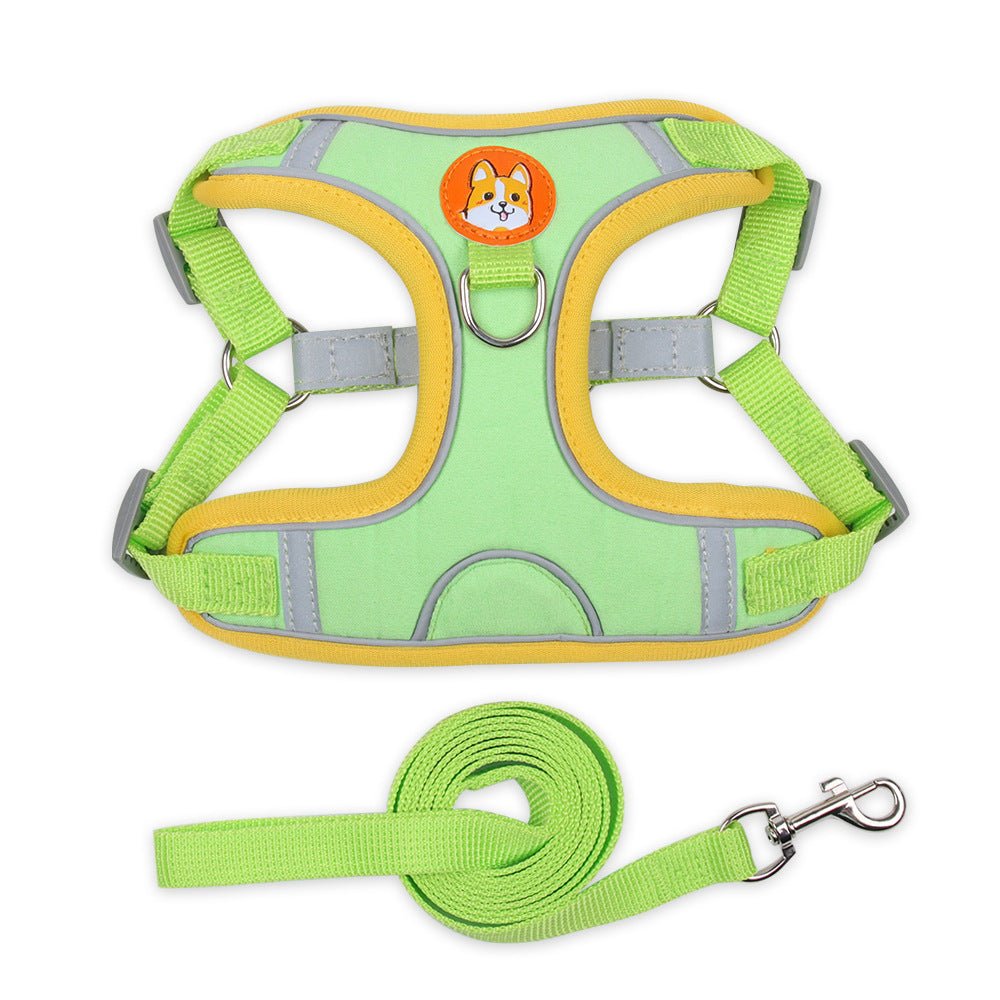 Dog Harness and Leash - Chiens Royaux