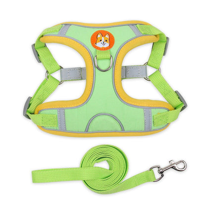 Dog Harness and Leash - Chiens Royaux