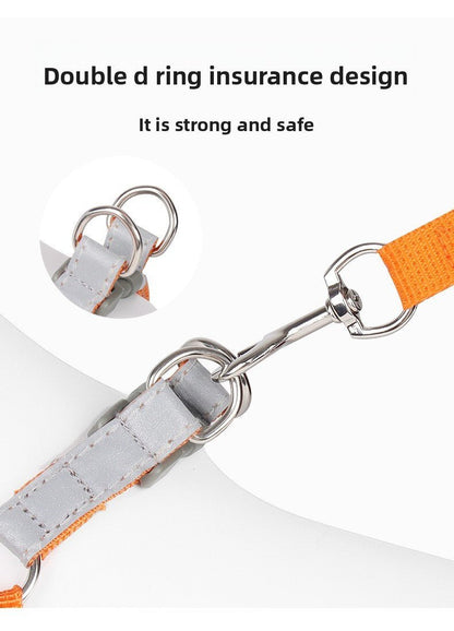 Dog Harness and Leash - Chiens Royaux