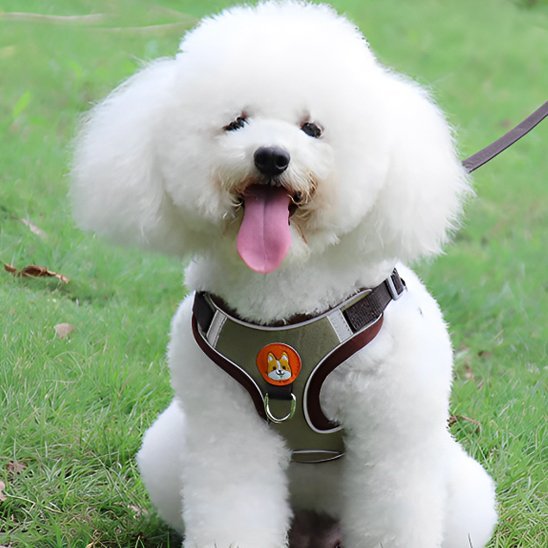 Dog Harness | No - Pull Comfort - Chiens Royaux