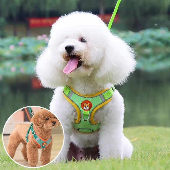 Dog Harness | No - Pull Comfort - Chiens Royaux