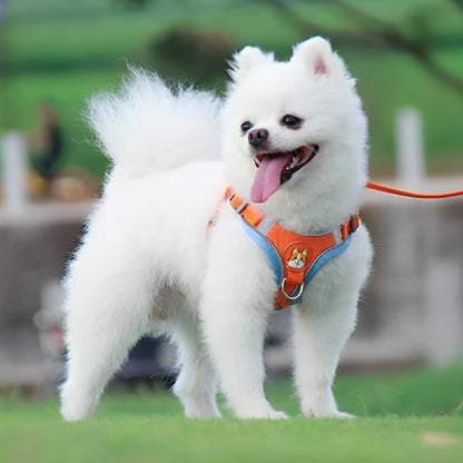 Dog Harness | No - Pull Comfort - Chiens Royaux