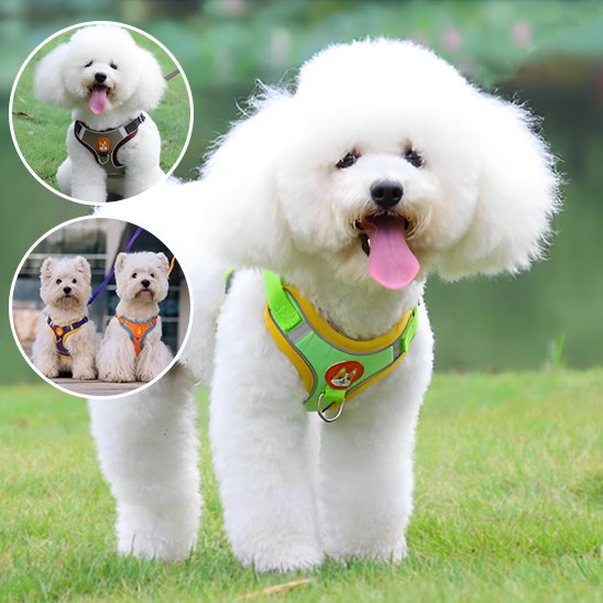 Dog Harness | No - Pull Comfort - Chiens Royaux