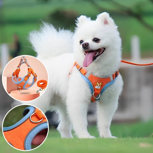 Dog Harness | No - Pull Comfort - Chiens Royaux