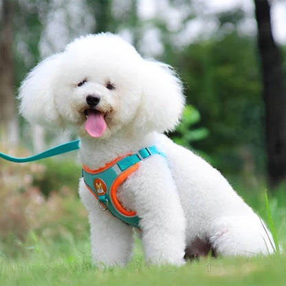 Dog Harness | No - Pull Comfort - Chiens Royaux