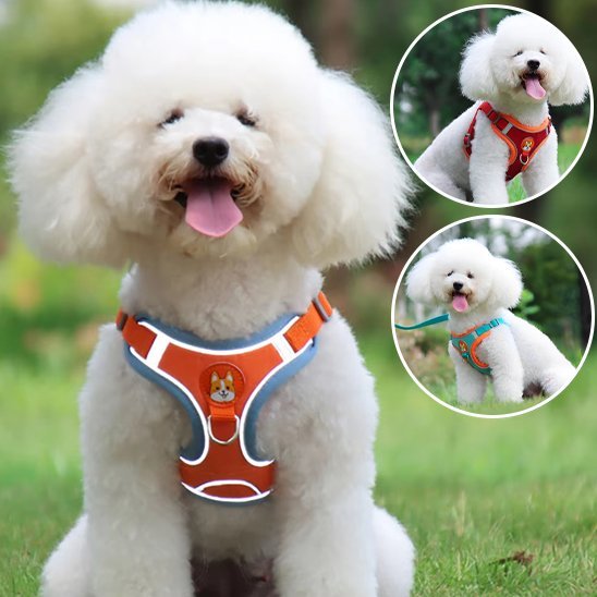Dog Harness | No - Pull Comfort - Chiens Royaux