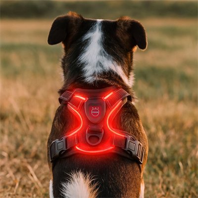 Dog Harness | Premium Comfort - Chiens Royaux