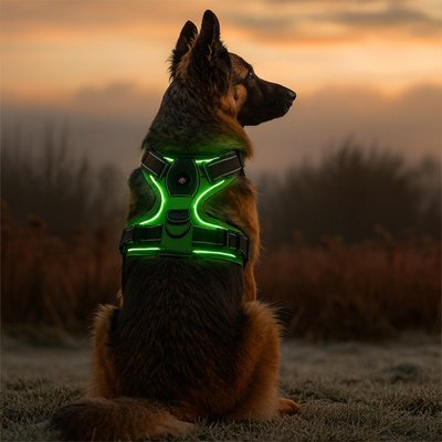 Dog Harness | Premium Comfort - Chiens Royaux
