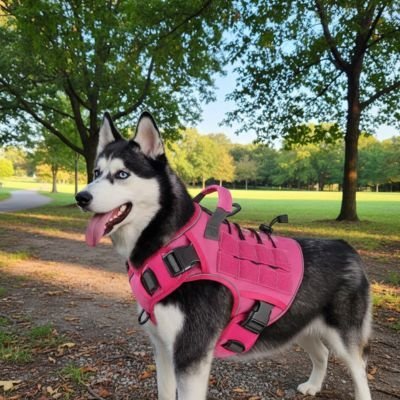 dog harness | Premium Comfort - Chiens Royaux