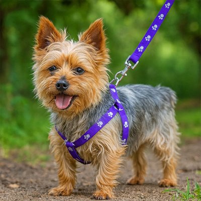 Dog harness