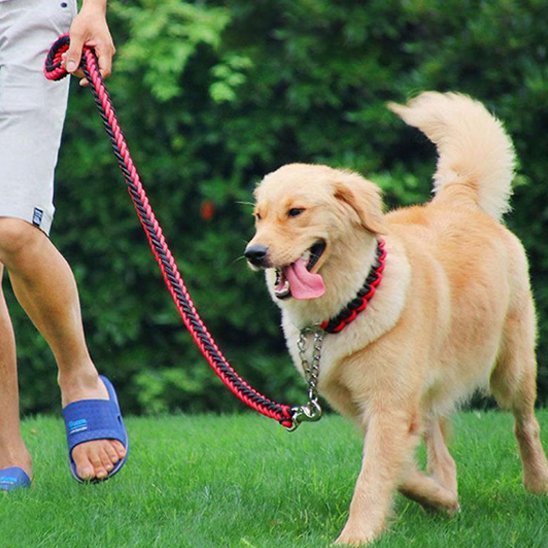 Dog leash | Durable - Chiens Royaux