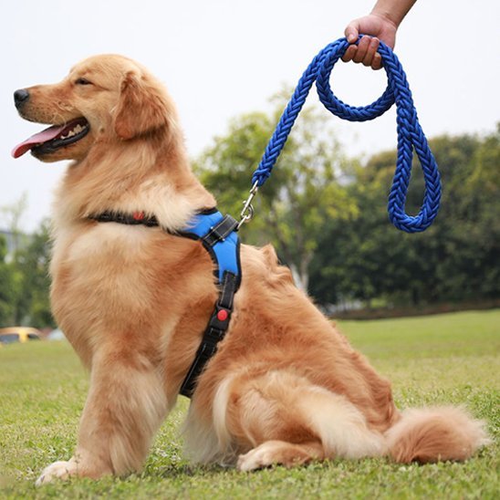 Dog leash | Durable - Chiens Royaux