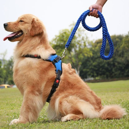 Dog leash | Durable - Chiens Royaux