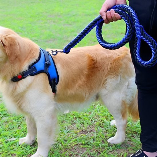 Dog leash | Durable - Chiens Royaux
