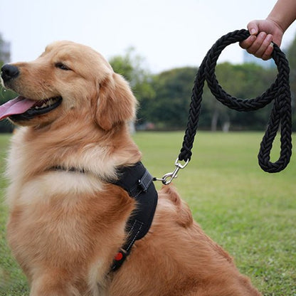 Dog leash