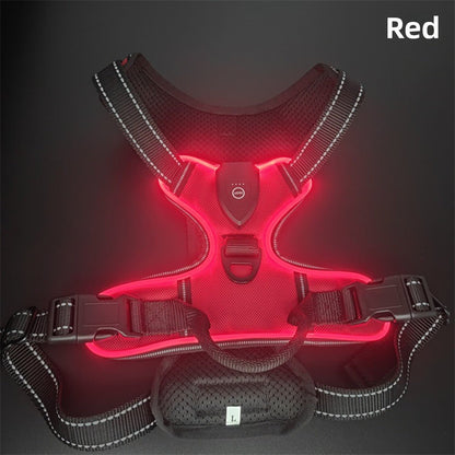 Dog LED Harness - Chiens Royaux