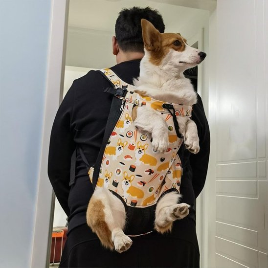 Dog transport bag | Hands - Free Comfort - Chiens Royaux
