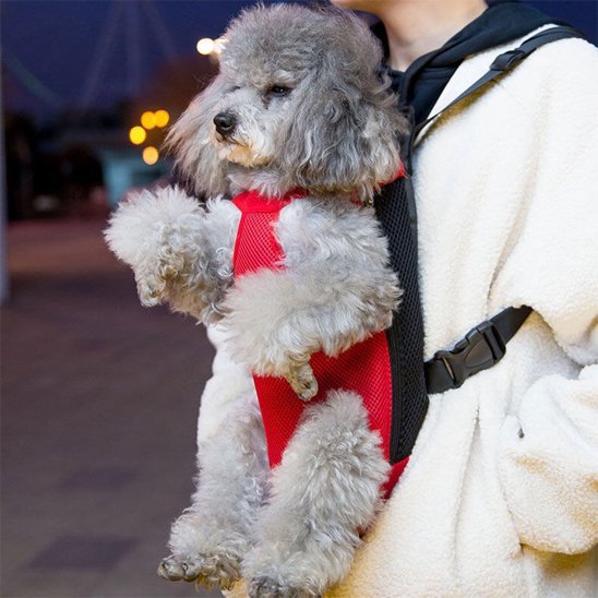 Dog transport bag | Hands - Free Comfort - Chiens Royaux