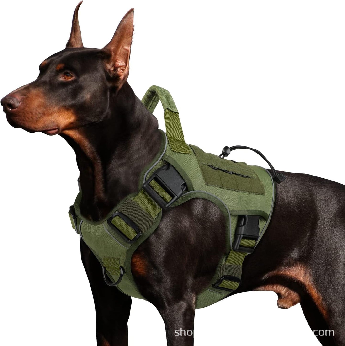 Strong Dog Chest Harness - Chiens Royaux