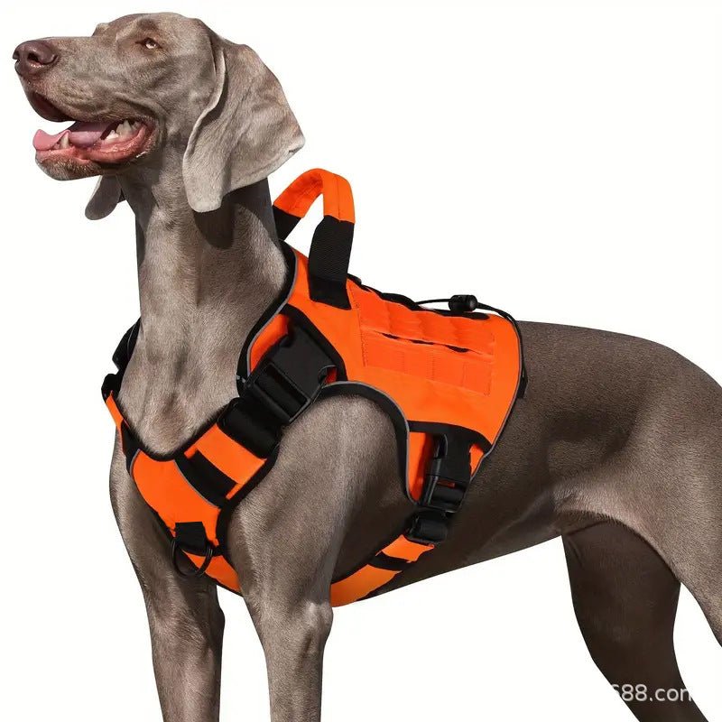 Strong Dog Chest Harness - Chiens Royaux