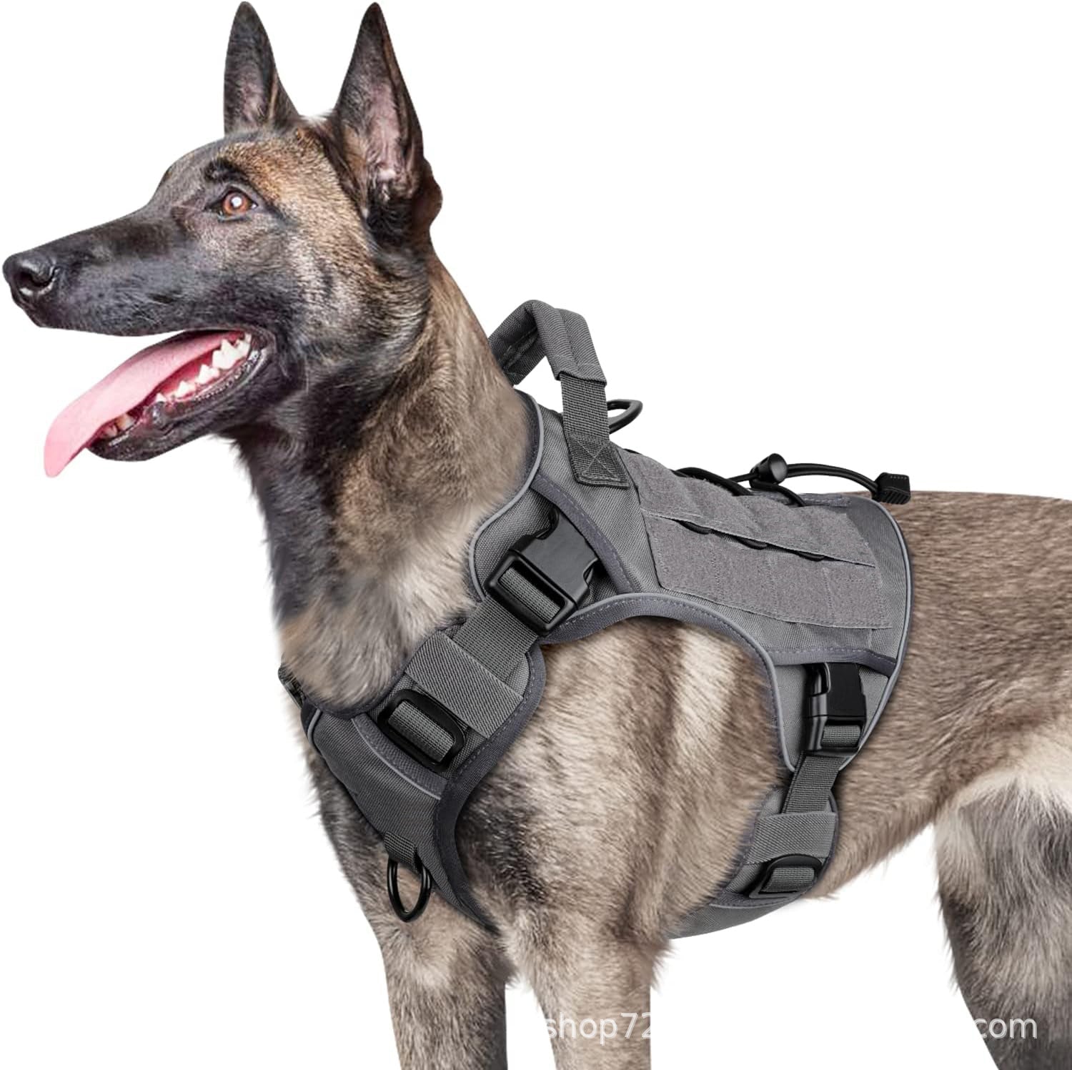 Strong Dog Chest Harness - Chiens Royaux